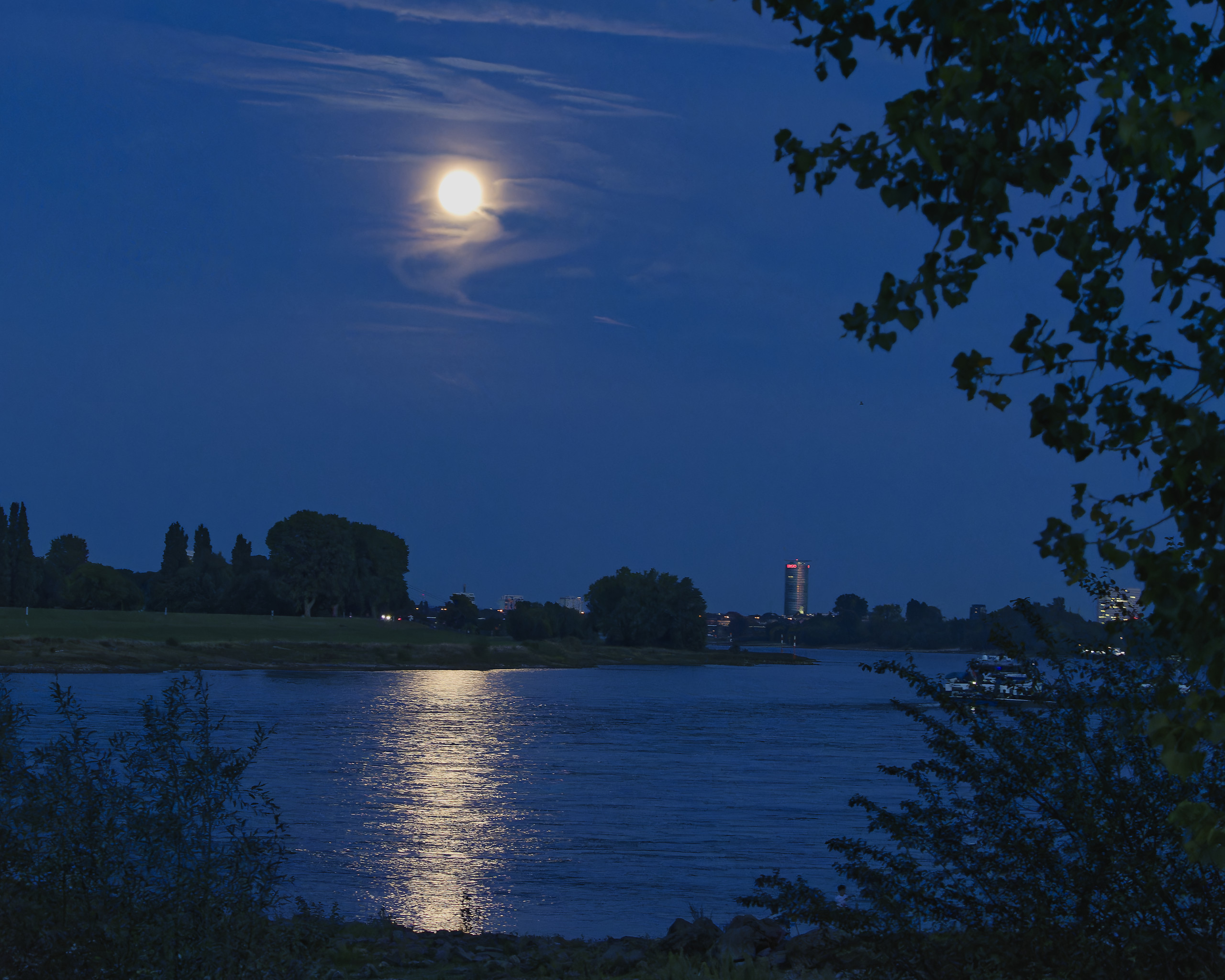 Fast Vollmond