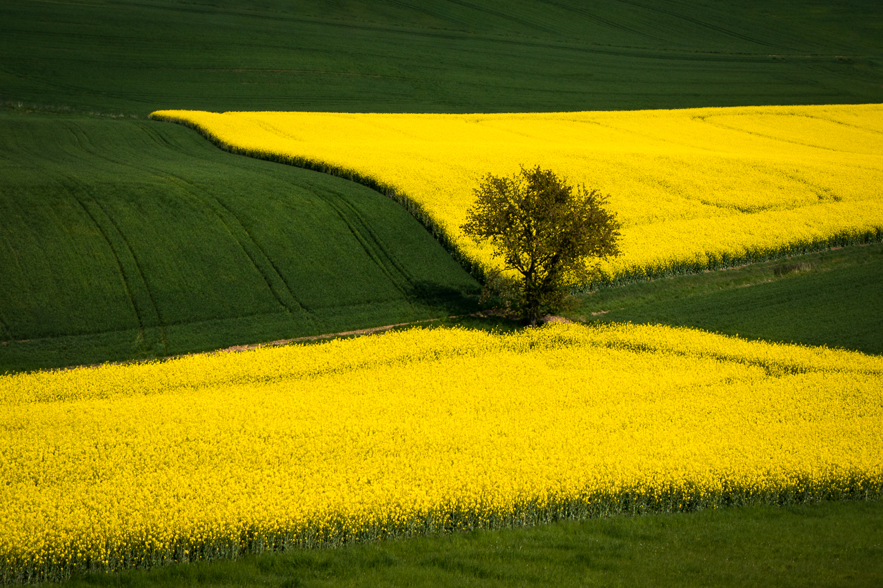 Felder am Glauberg (2)