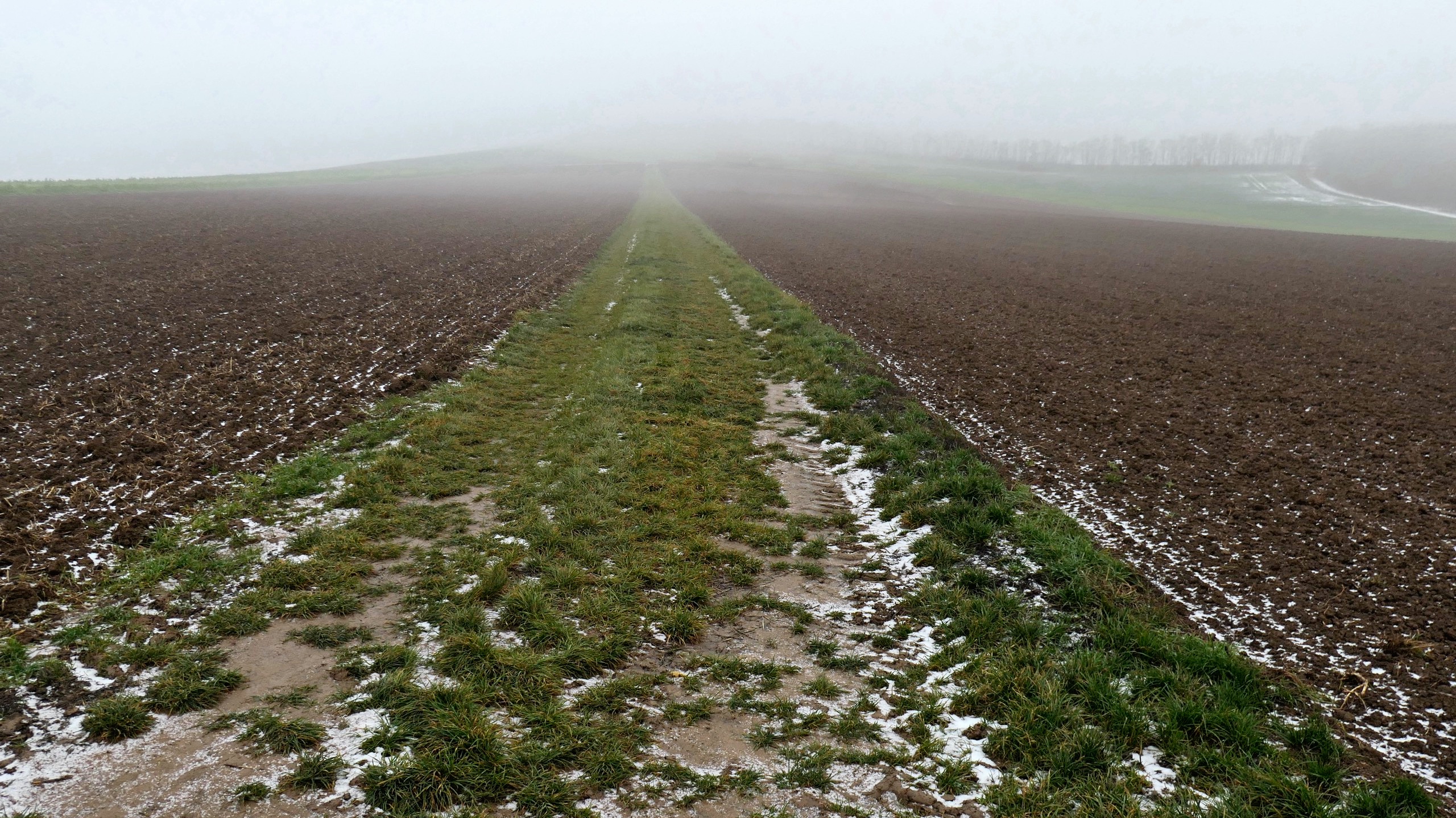 Feldweg -  Schwanfeld nach Wipfeld.jpg