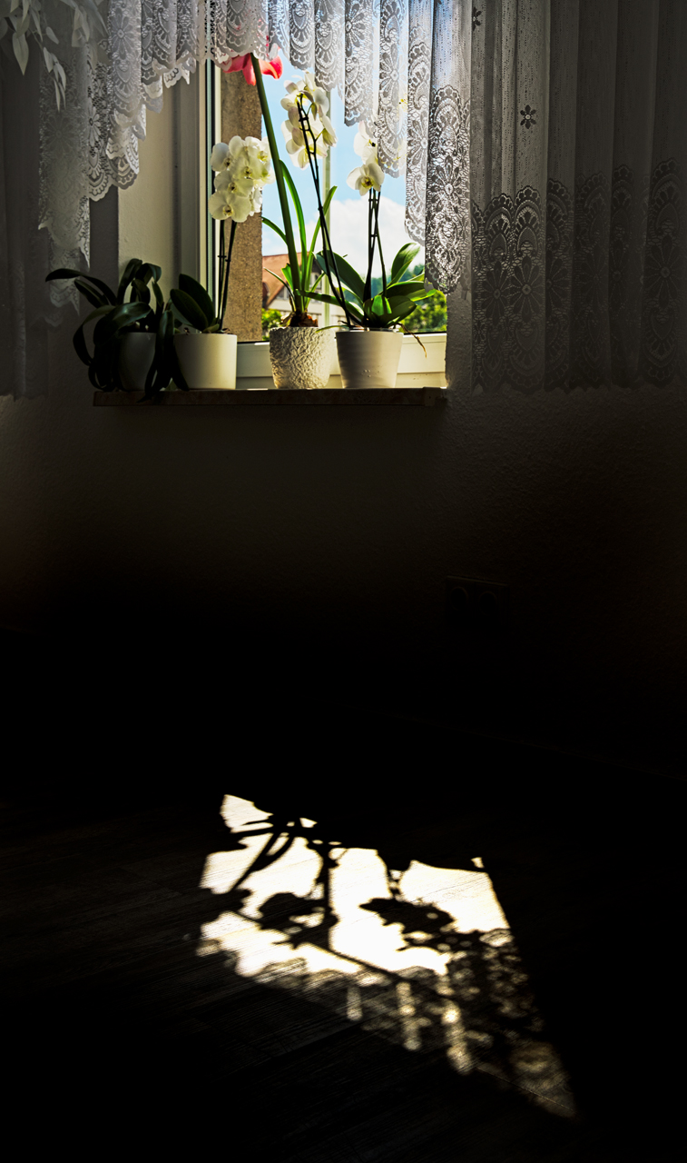 Fenster