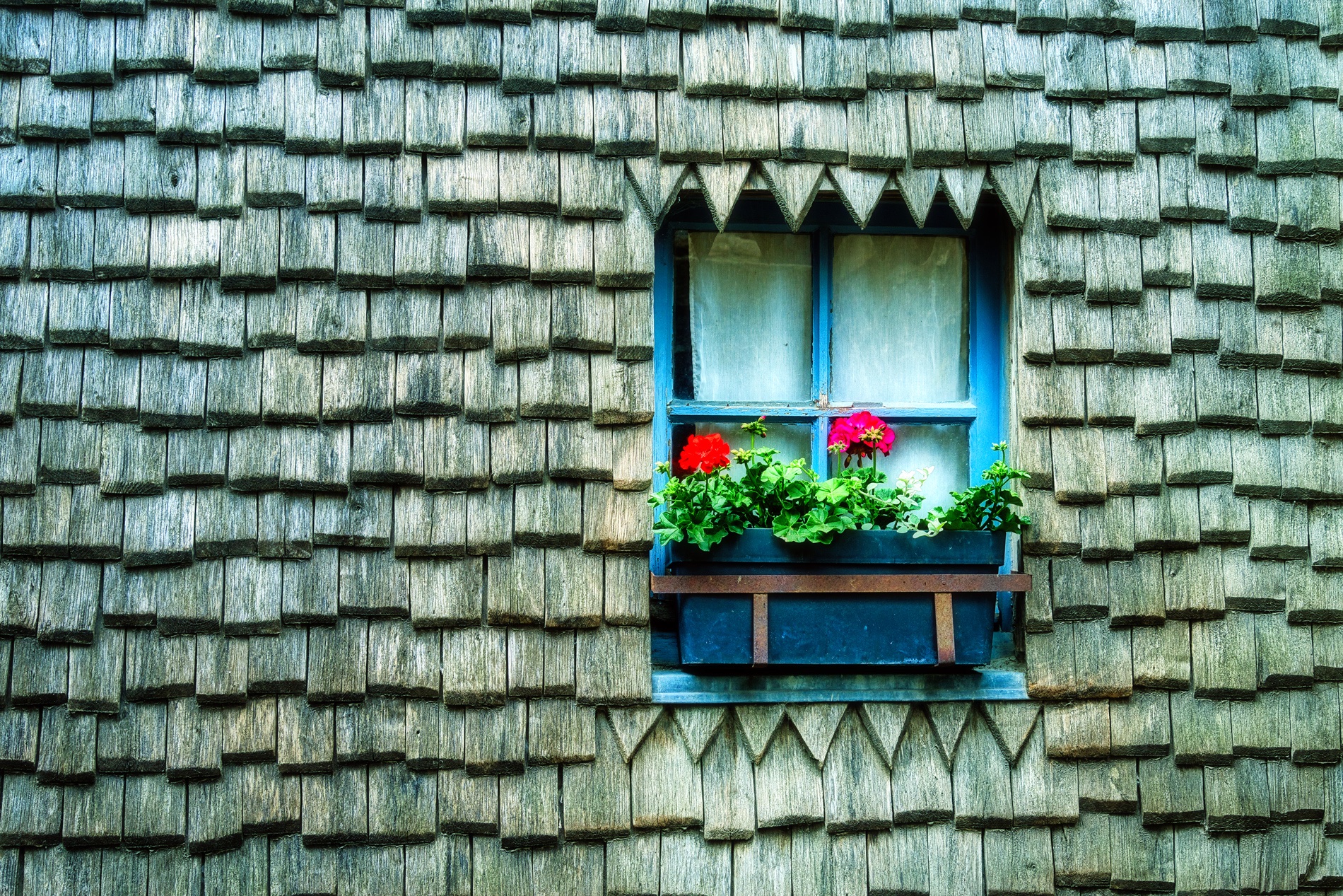 Fenster