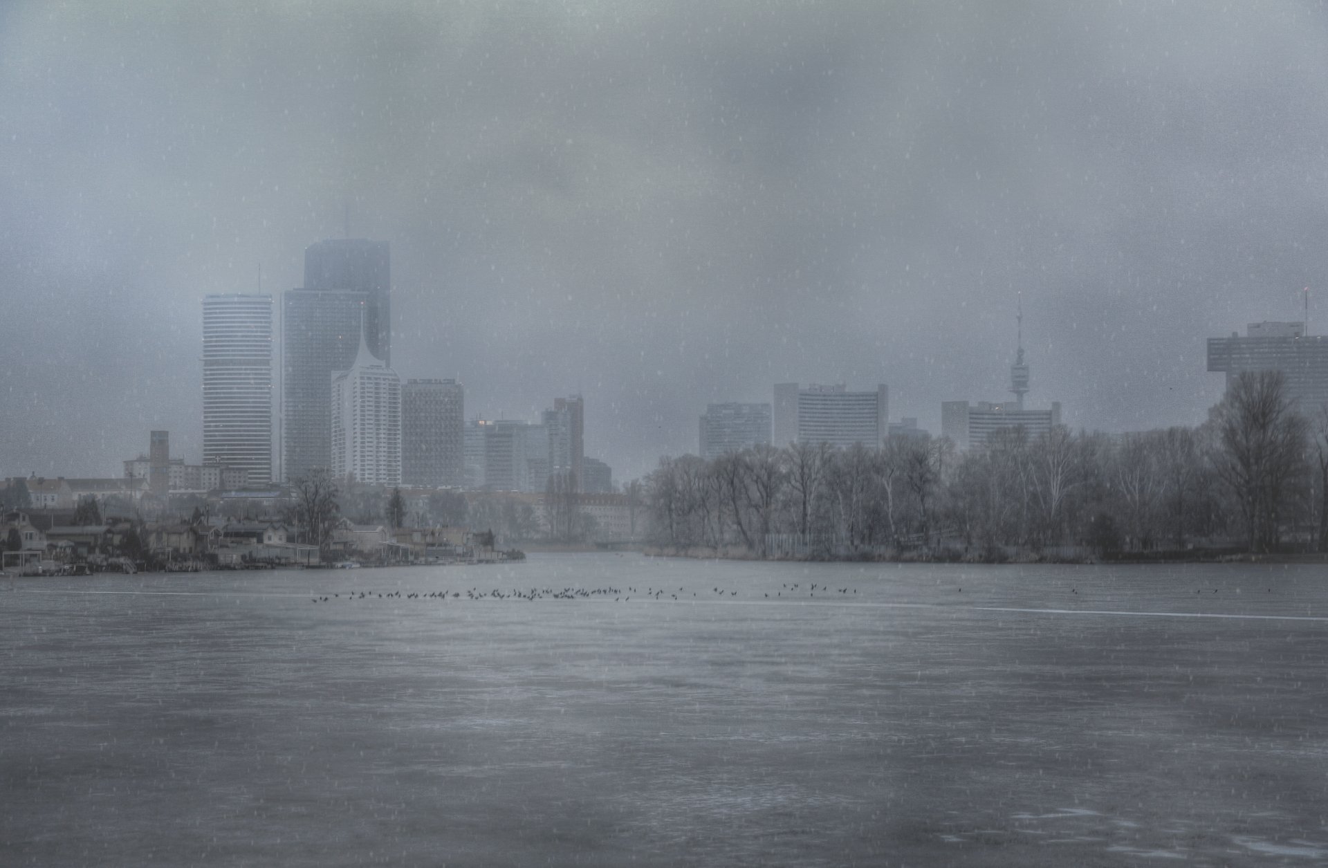 Fifty shades of gray ...  und Schnee