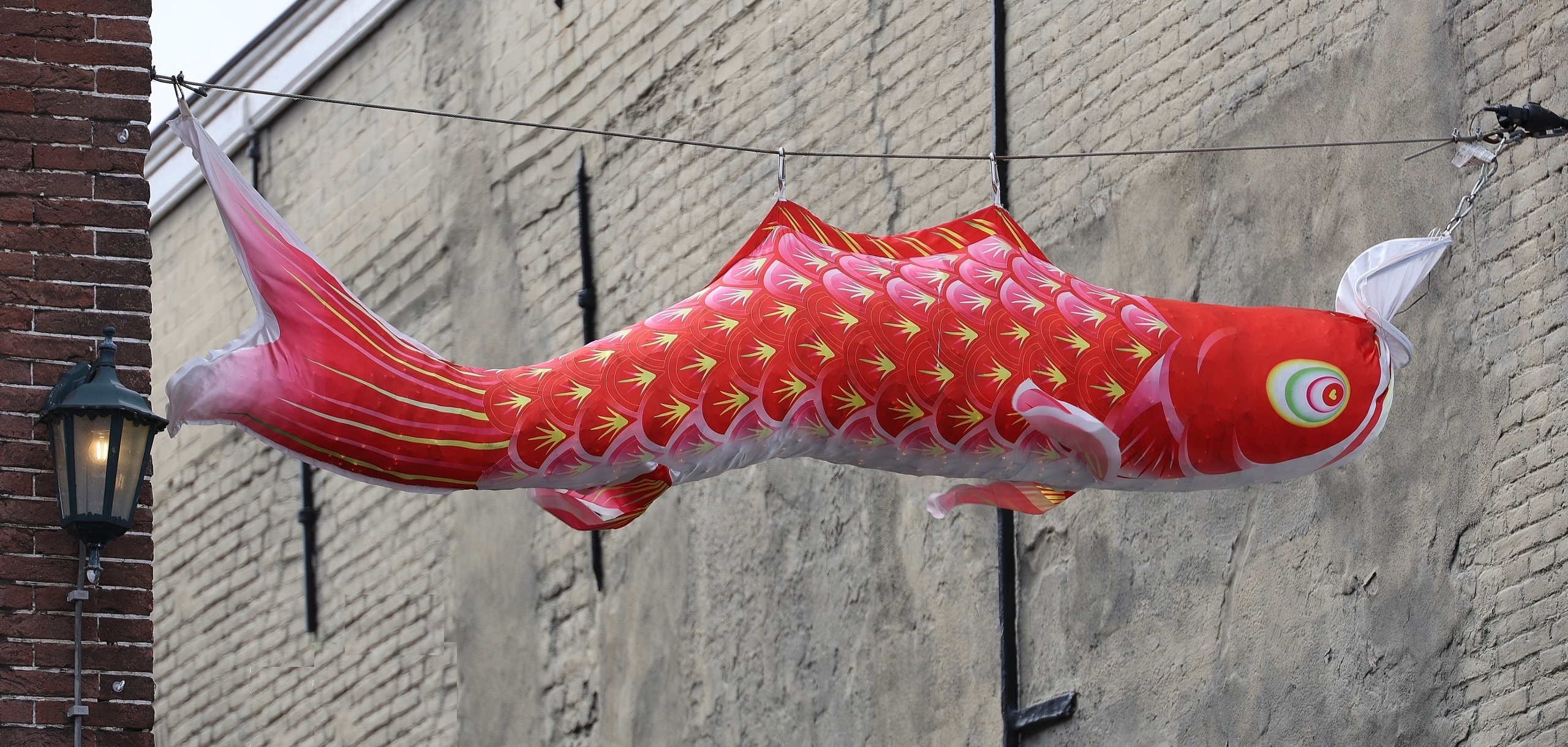 Fisch am Haken