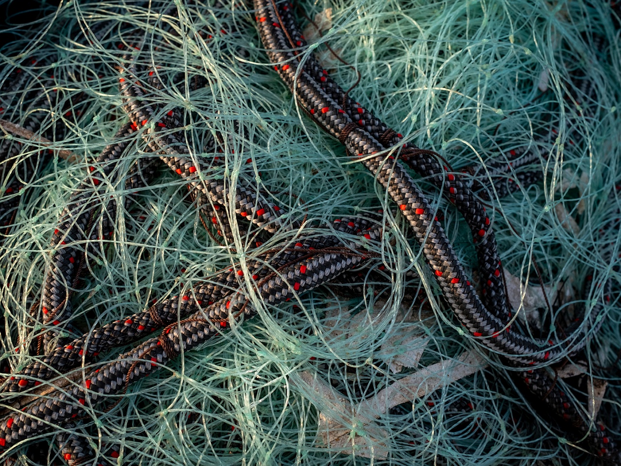 Fischernetz Schwarz - Grün