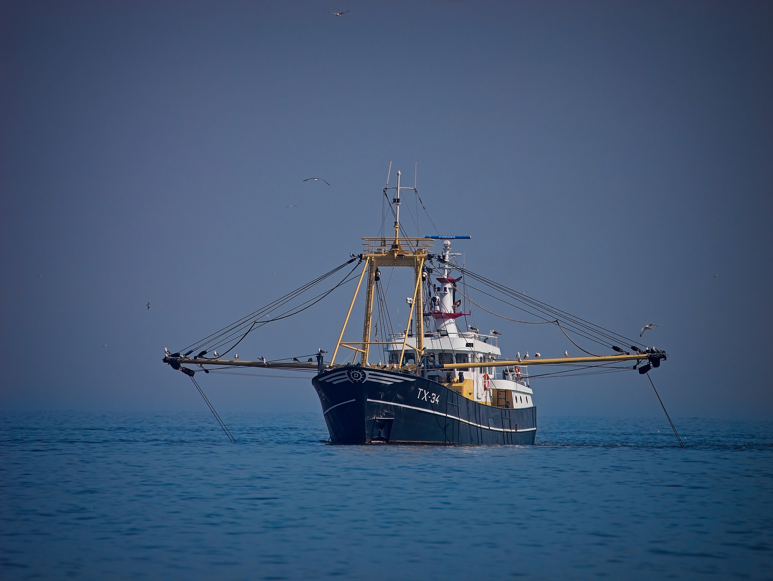 Fischkutter vor Callantsoog (NL)