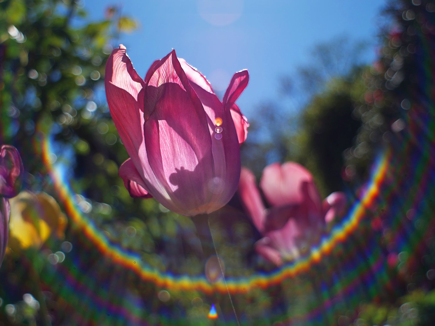 Flare mit Lichttropfen