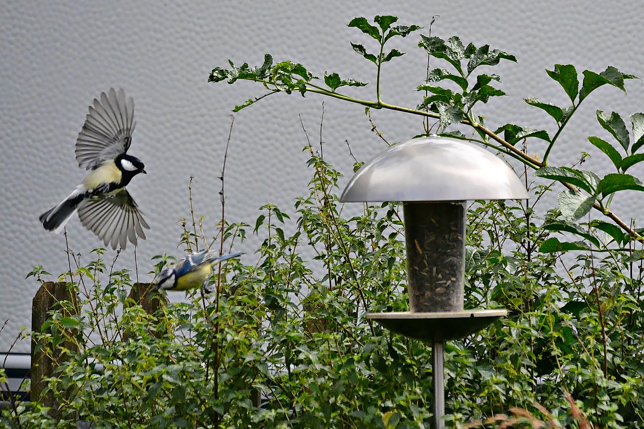 fliegender Wechsel