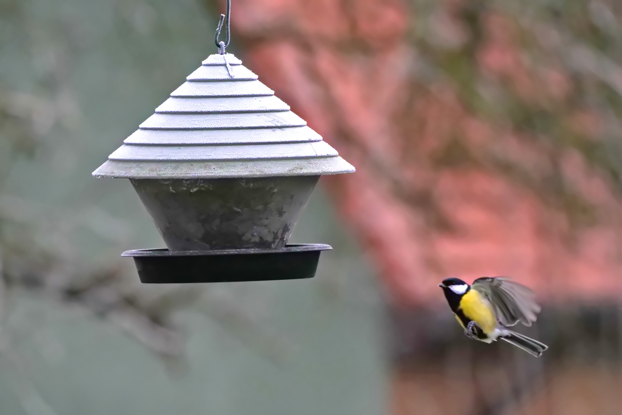 Flug zum Frühstück