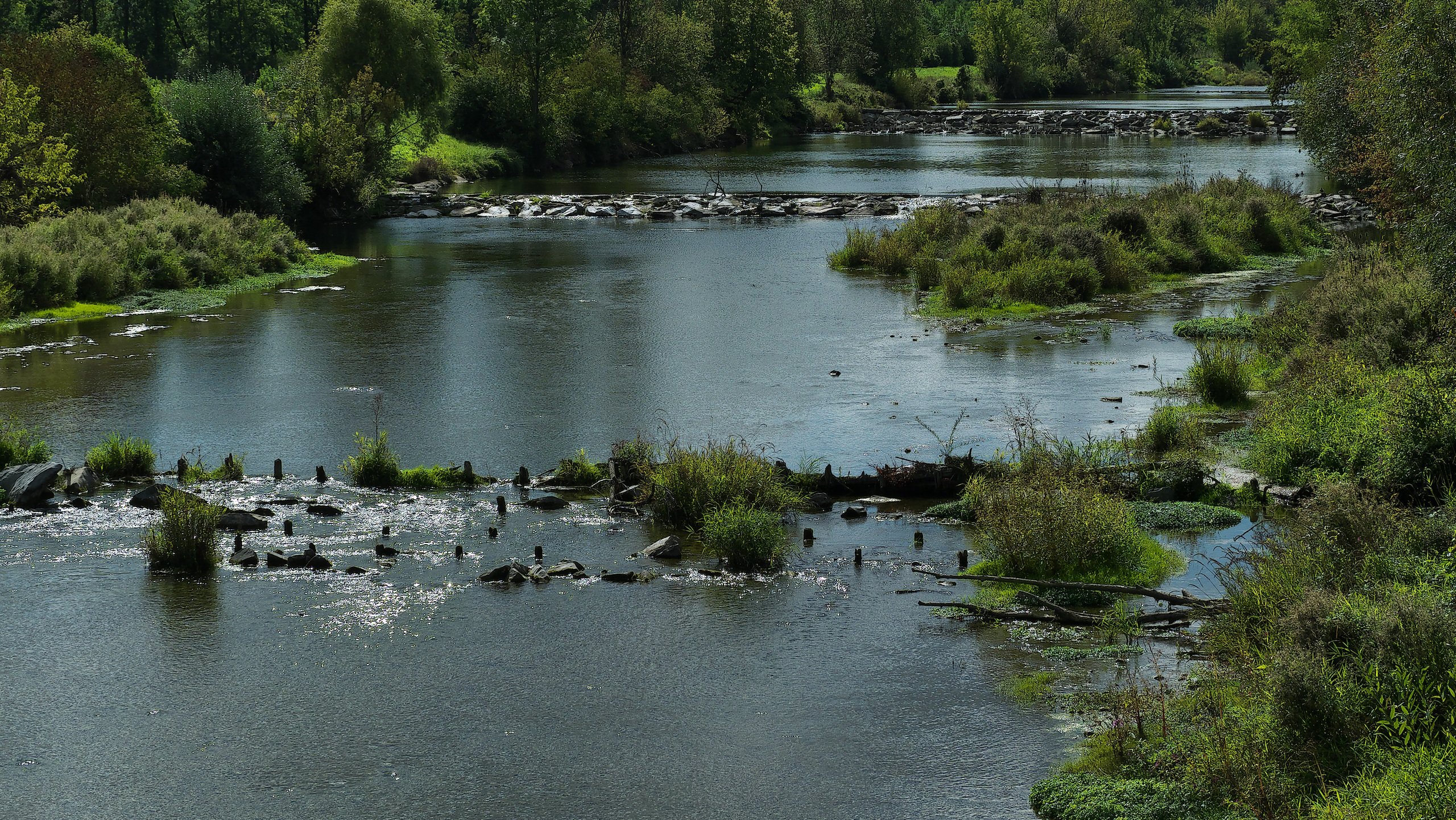 Flusslandschaft Traisen