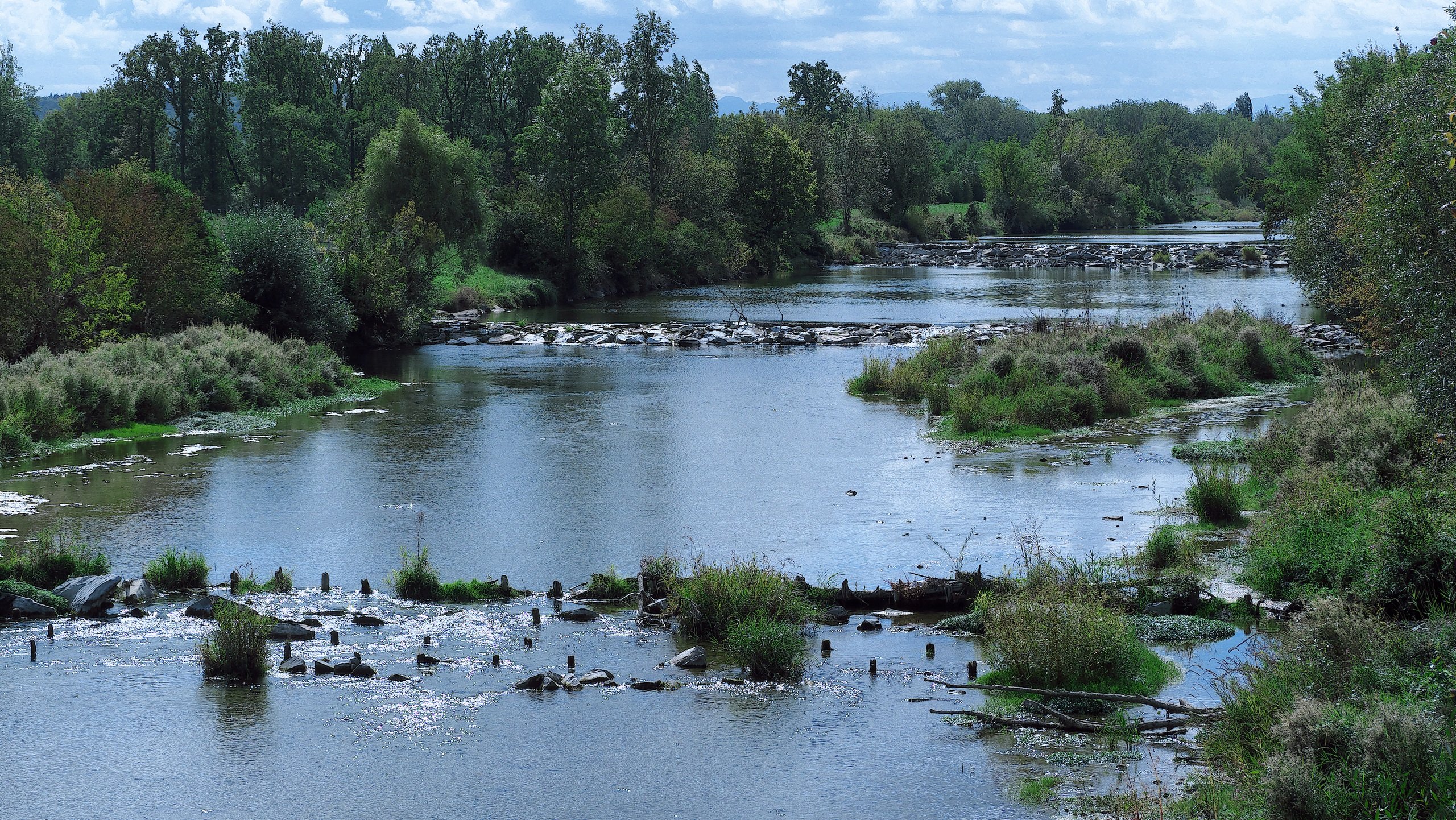 Flusslandschaft Traisen