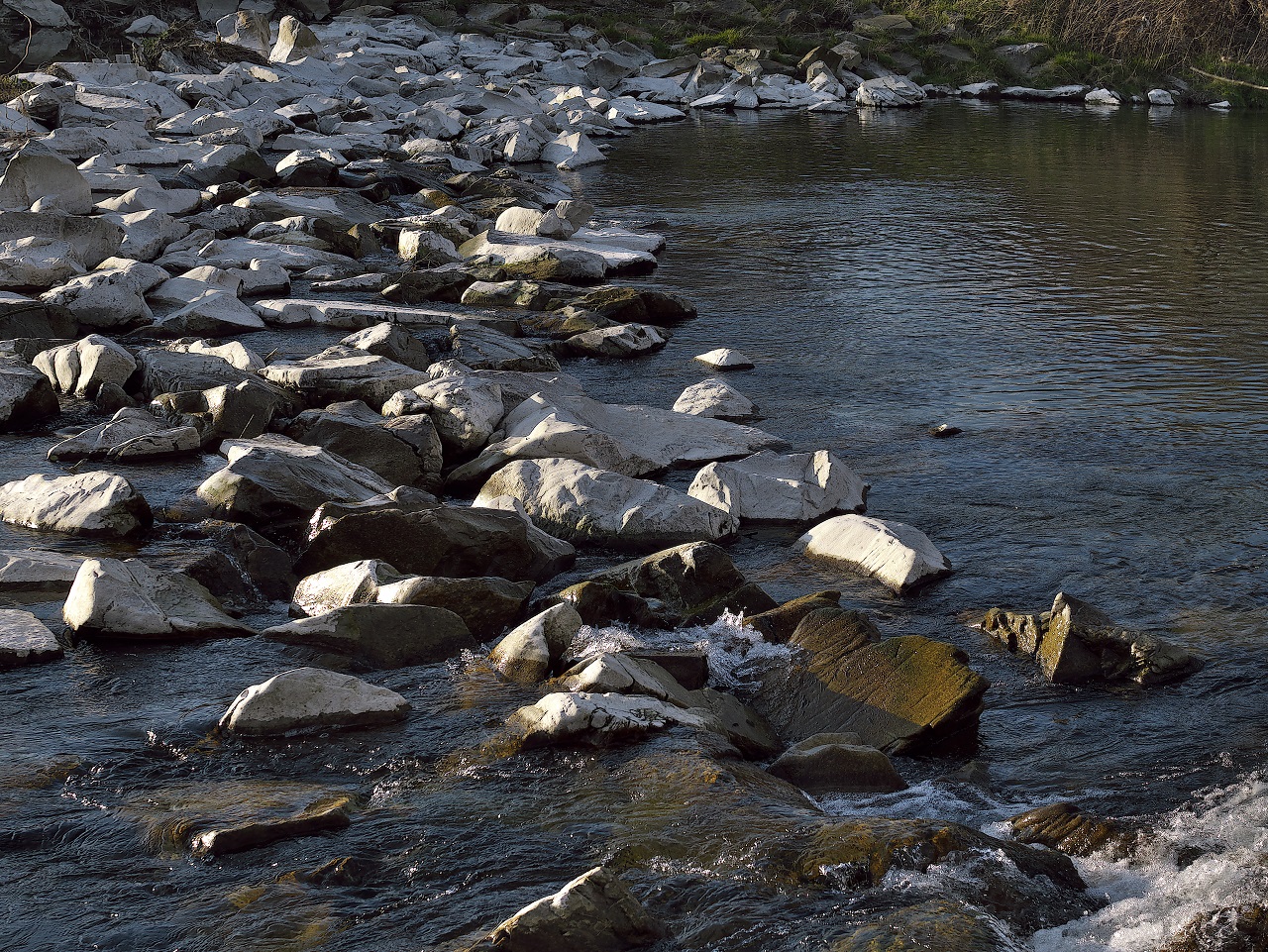 Flusslandschaft