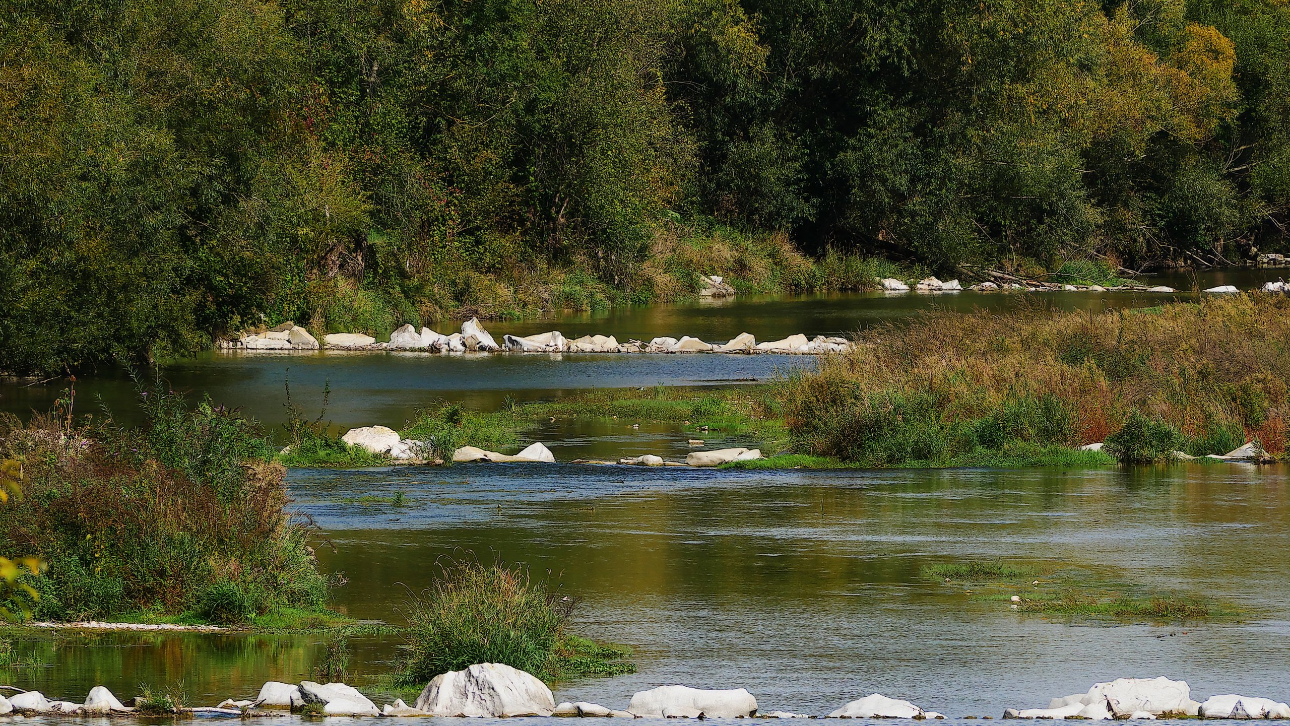 Flusslandschaft