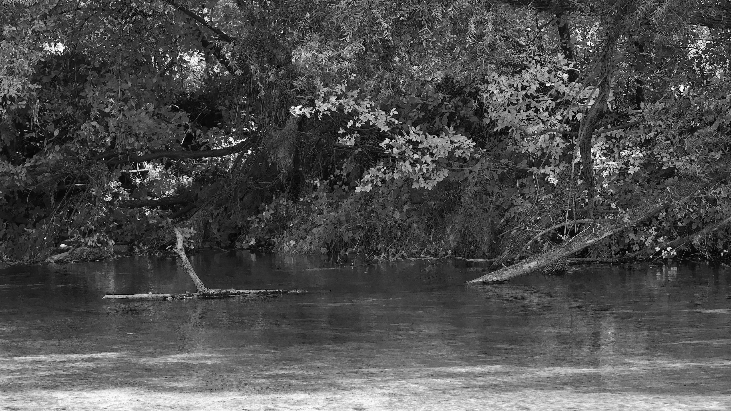Flusslandschaft