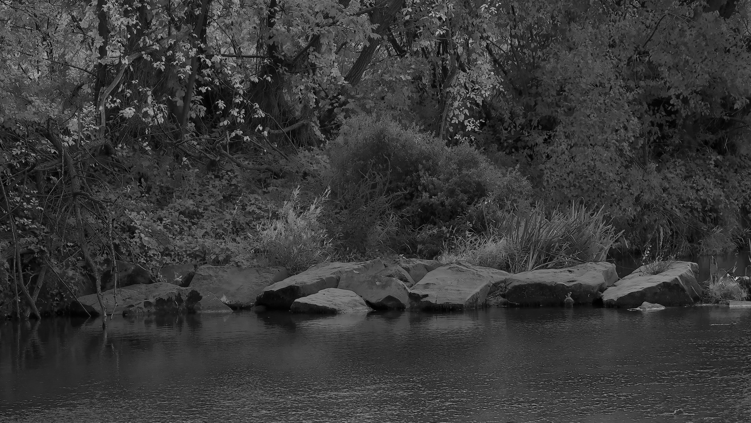 Flusslandschaft