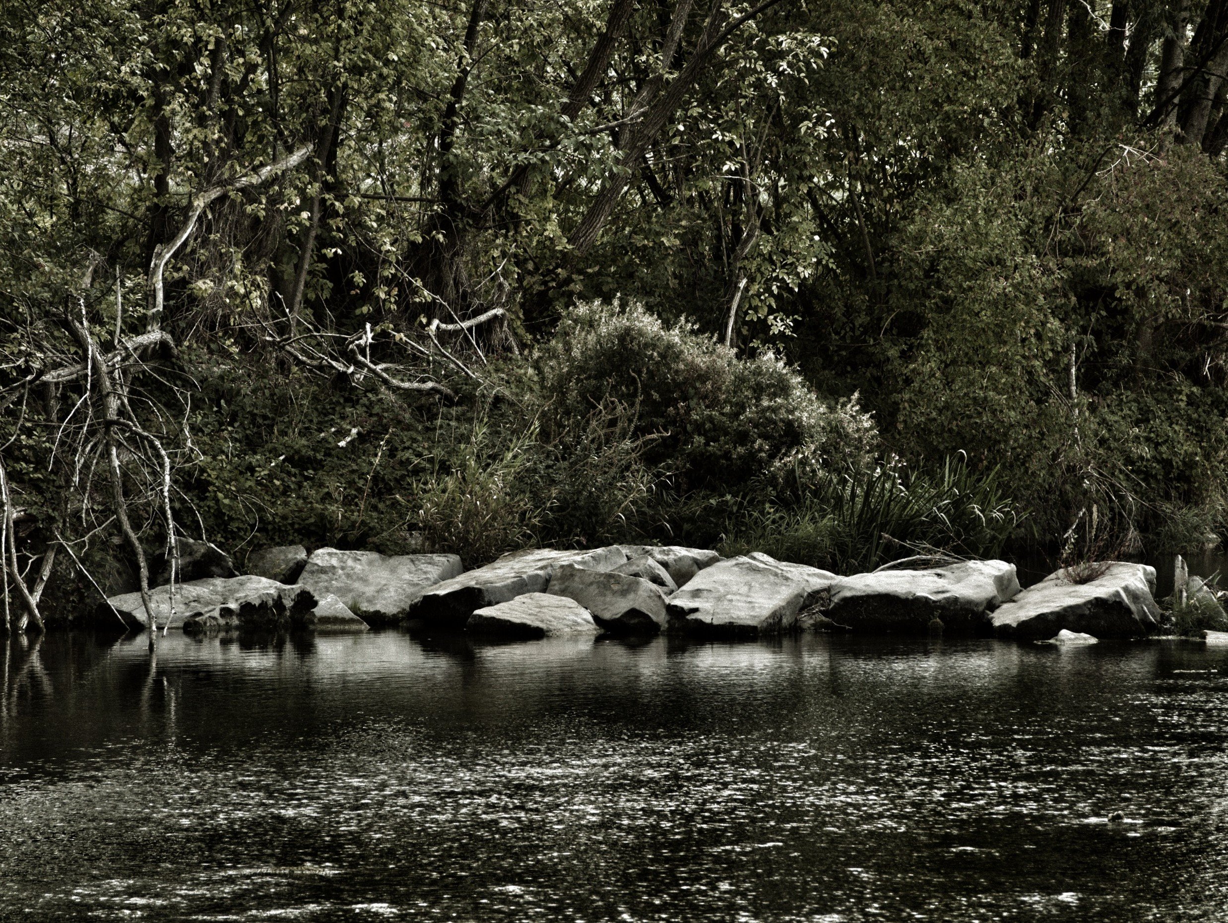 Flusslandschaft