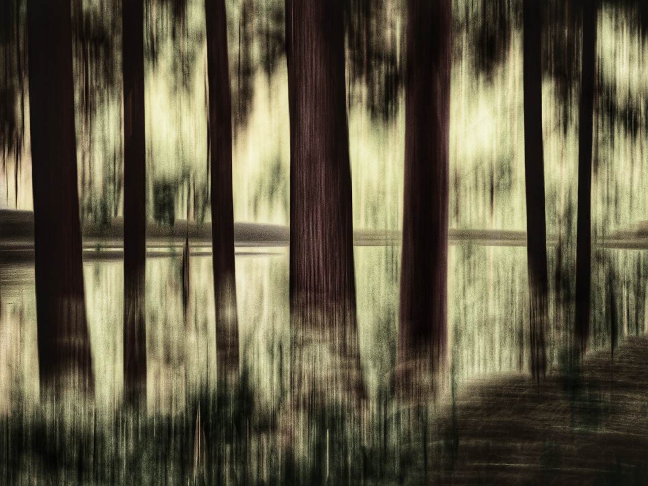 forest lake