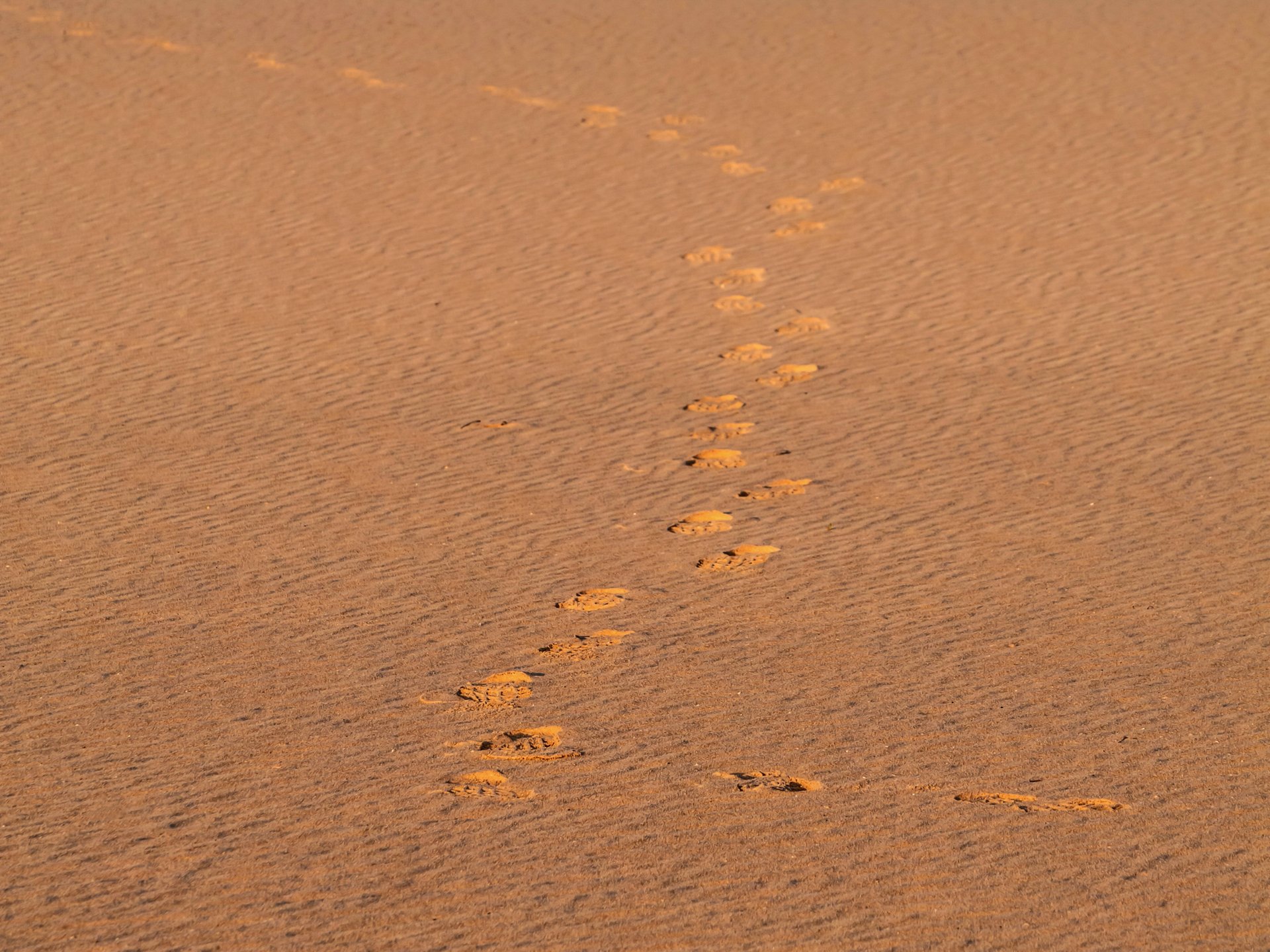 Fremde Spuren im Sand......