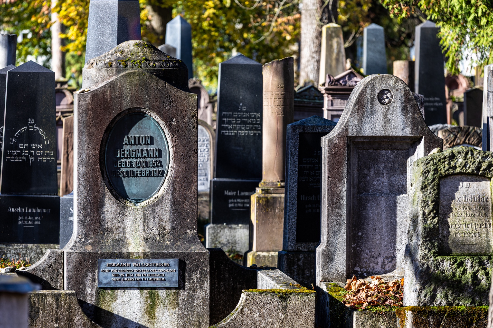 friedliche Versammlung