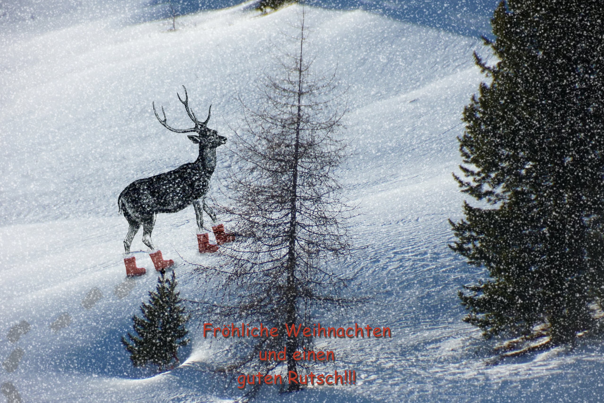 Fröhliche Weihnacht