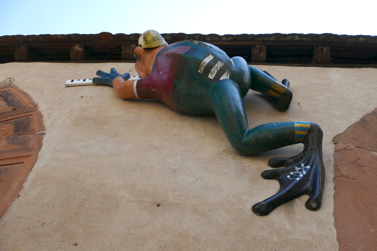 -Frog at work- | d-pixx.de Forum