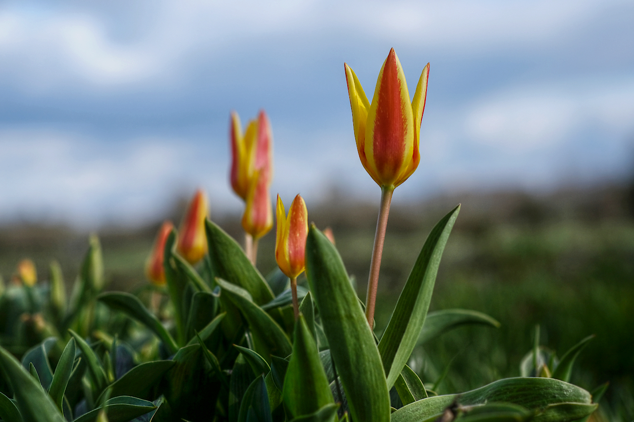 Frohe Ostern