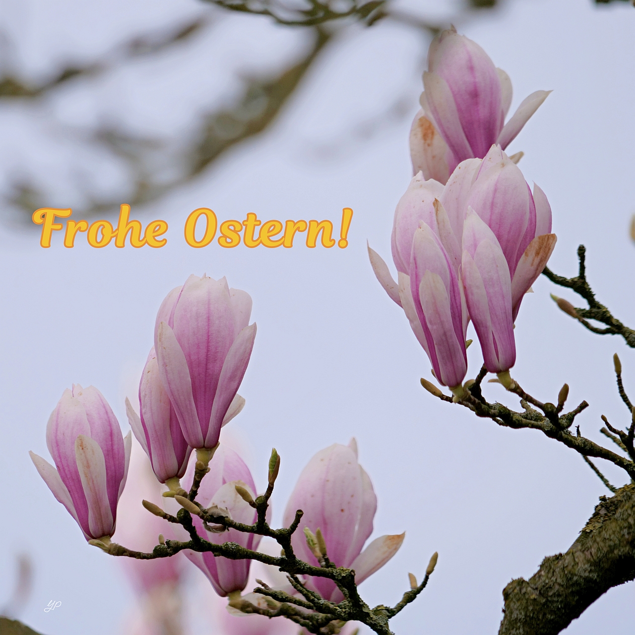 Frohe Ostern!