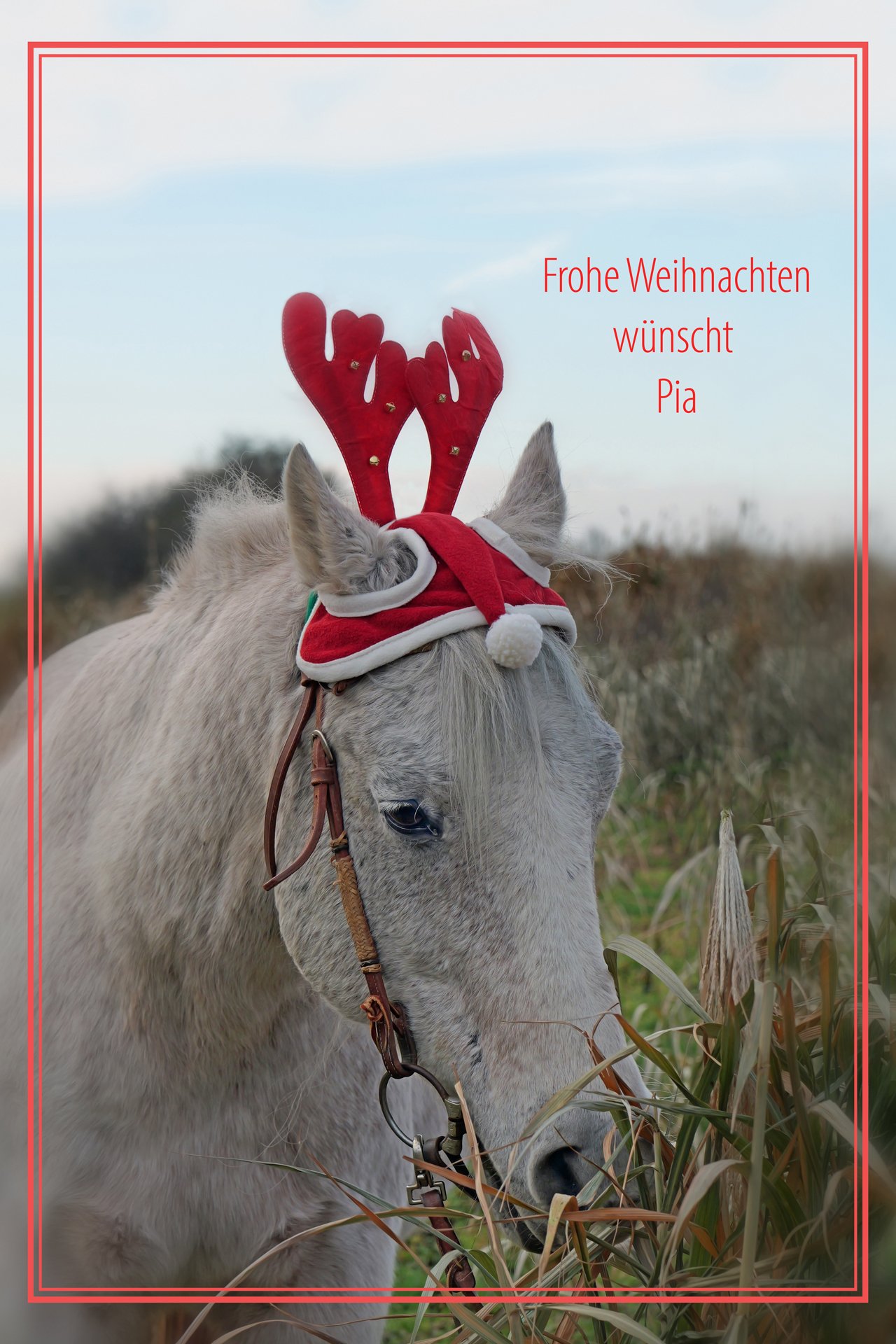 Frohe Weihnachten!