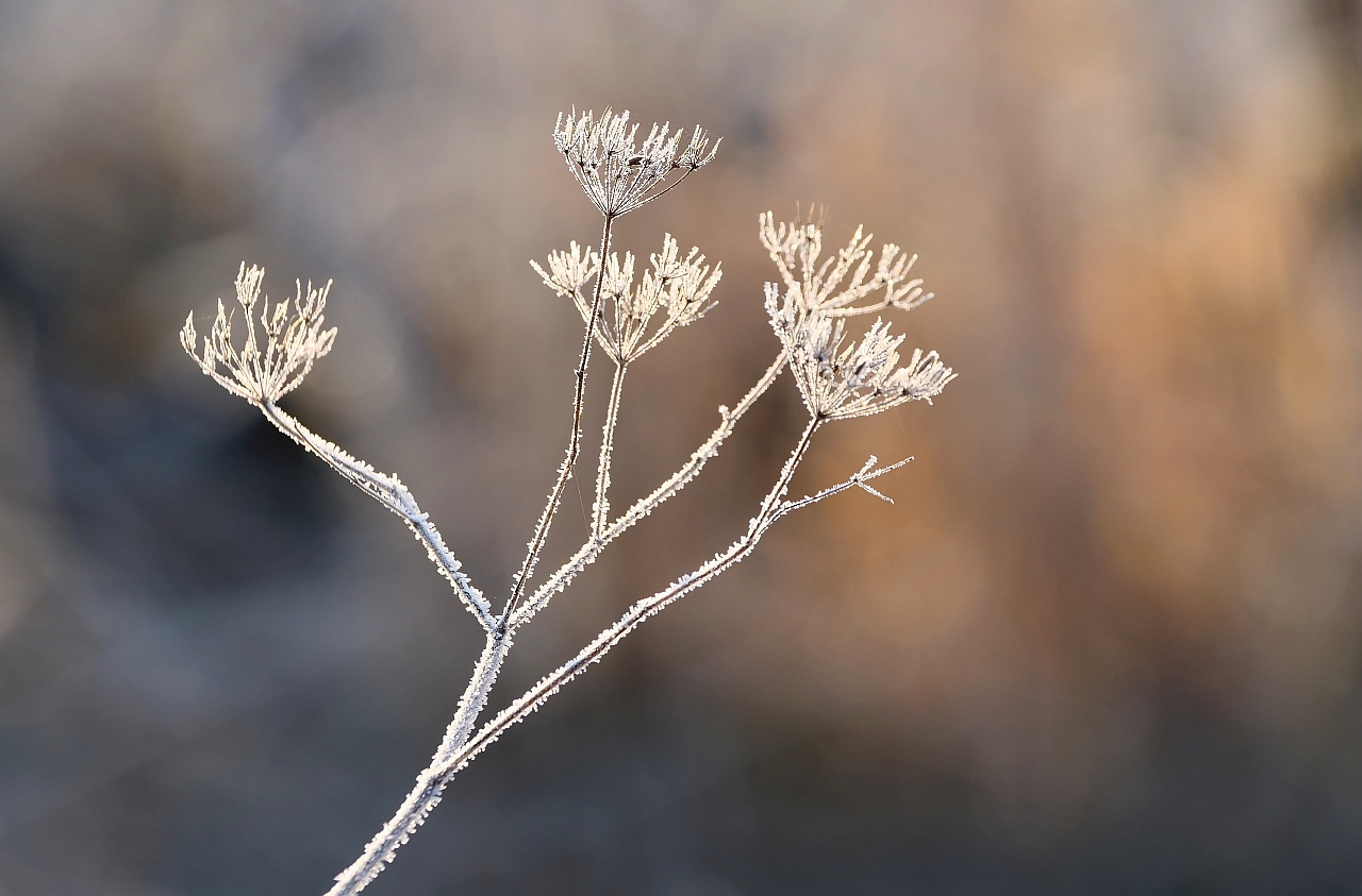 frostige Zeiten