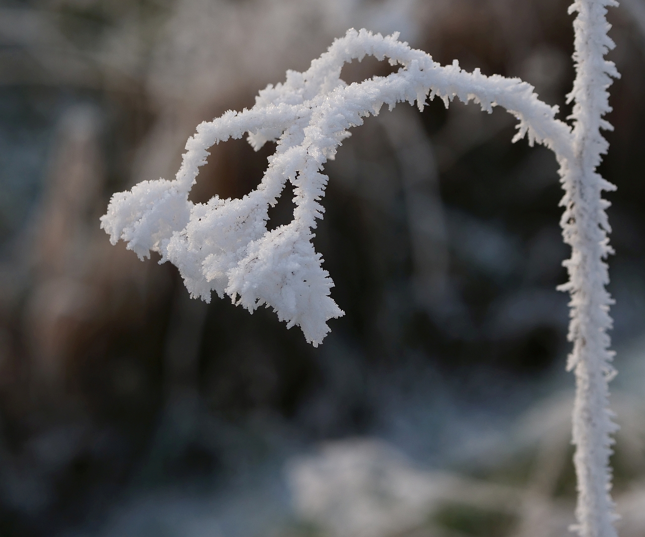 frostige Zeiten