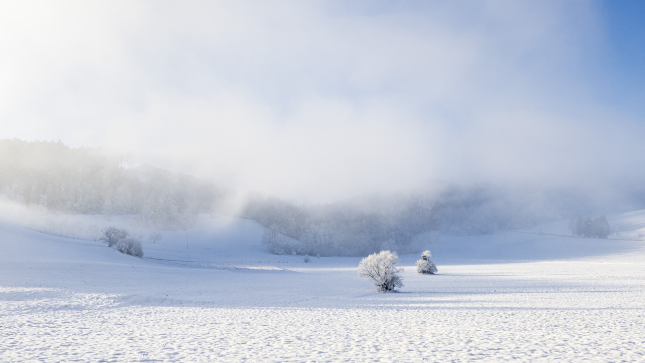 Frostiger Morgen