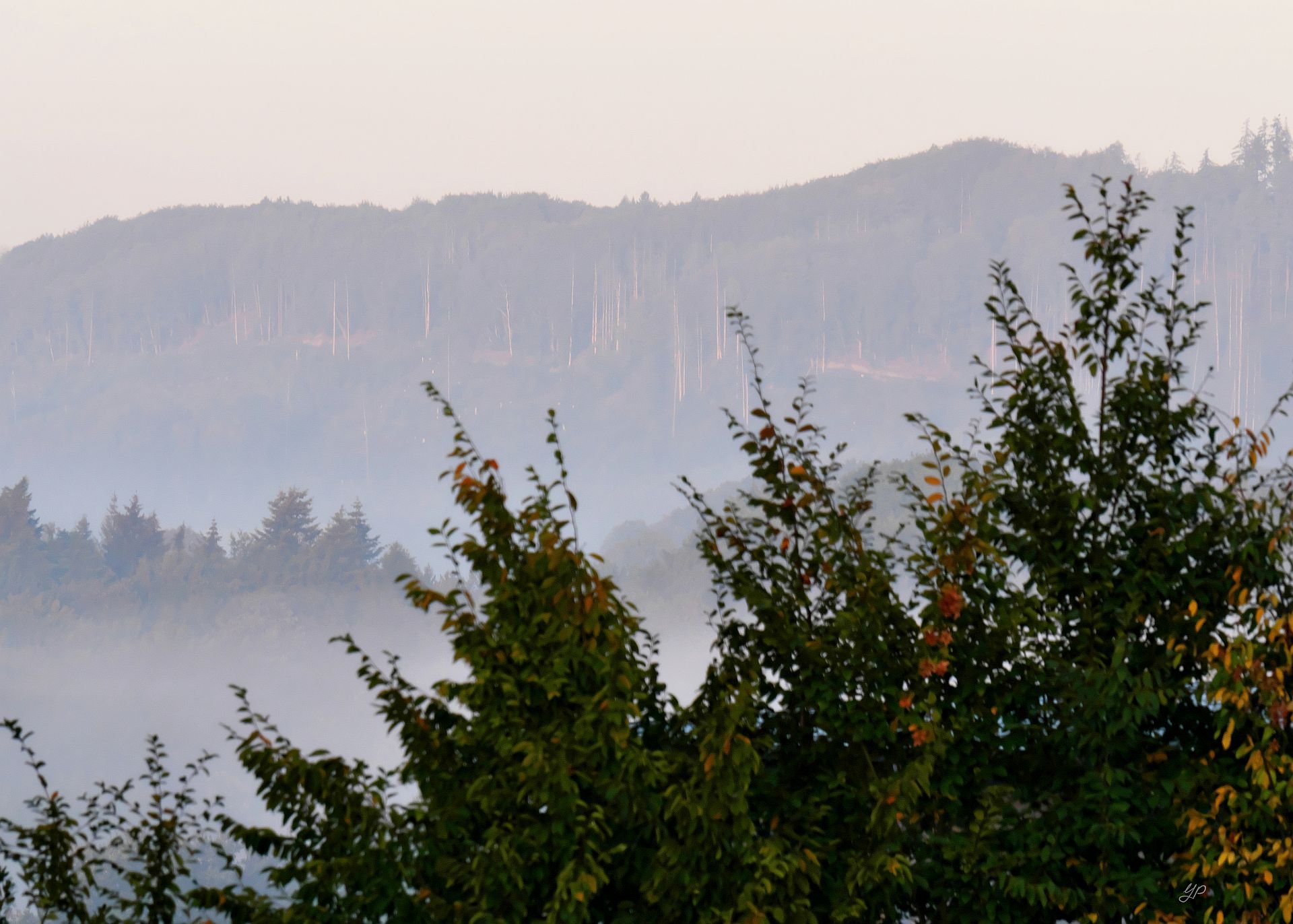 Frühherbstlicher Morgen
