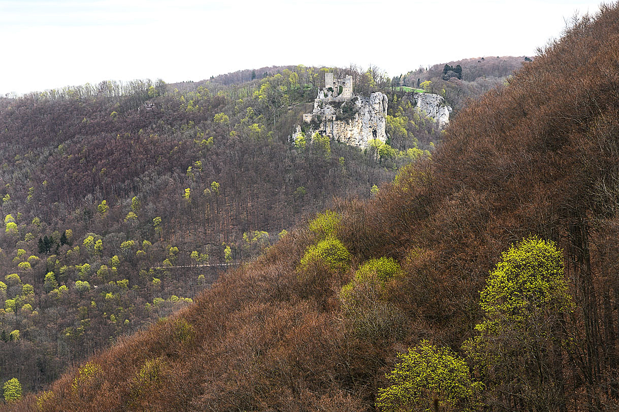 Frühling am Albtrauf