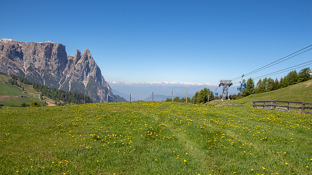 Frühling-auf-der-Alm.jpg