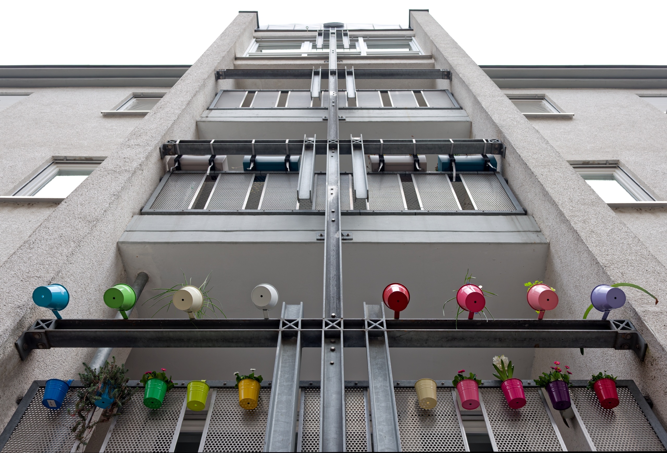 Frühling, Frühling