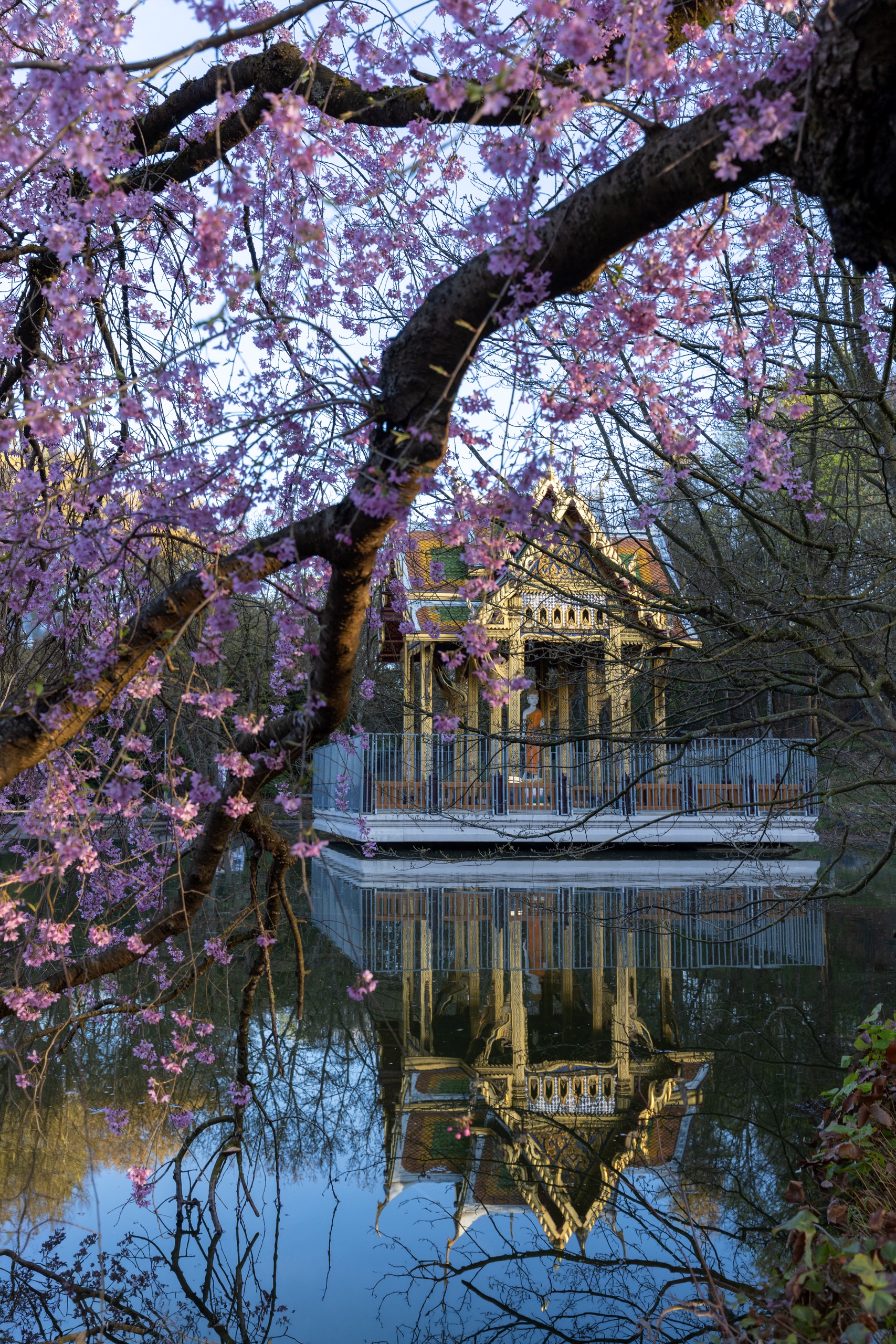 Frühling im Westpark