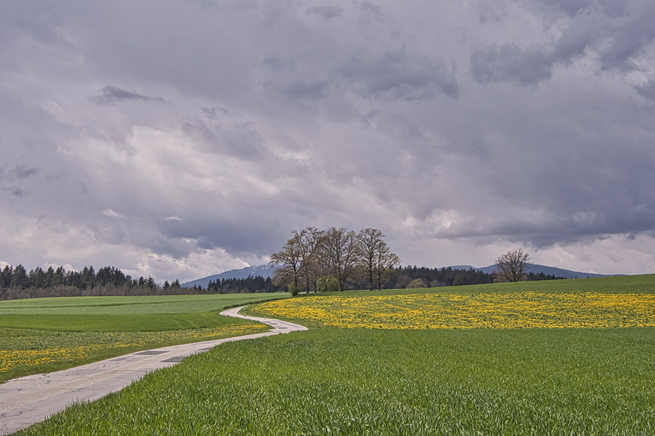 Frühling