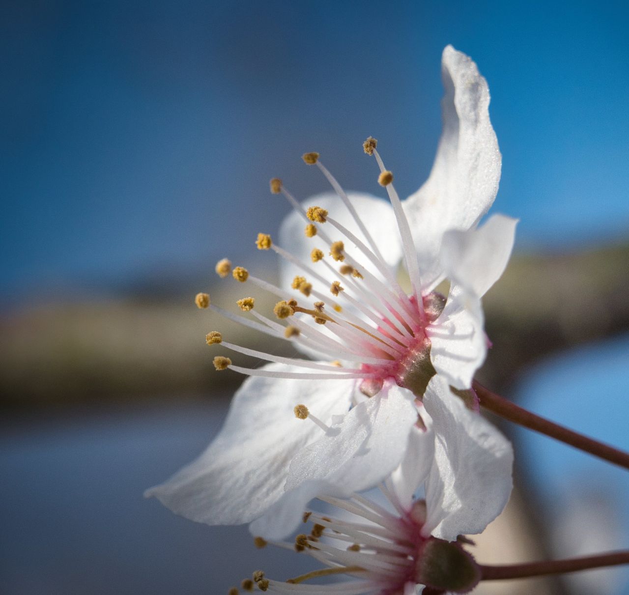 Frühling