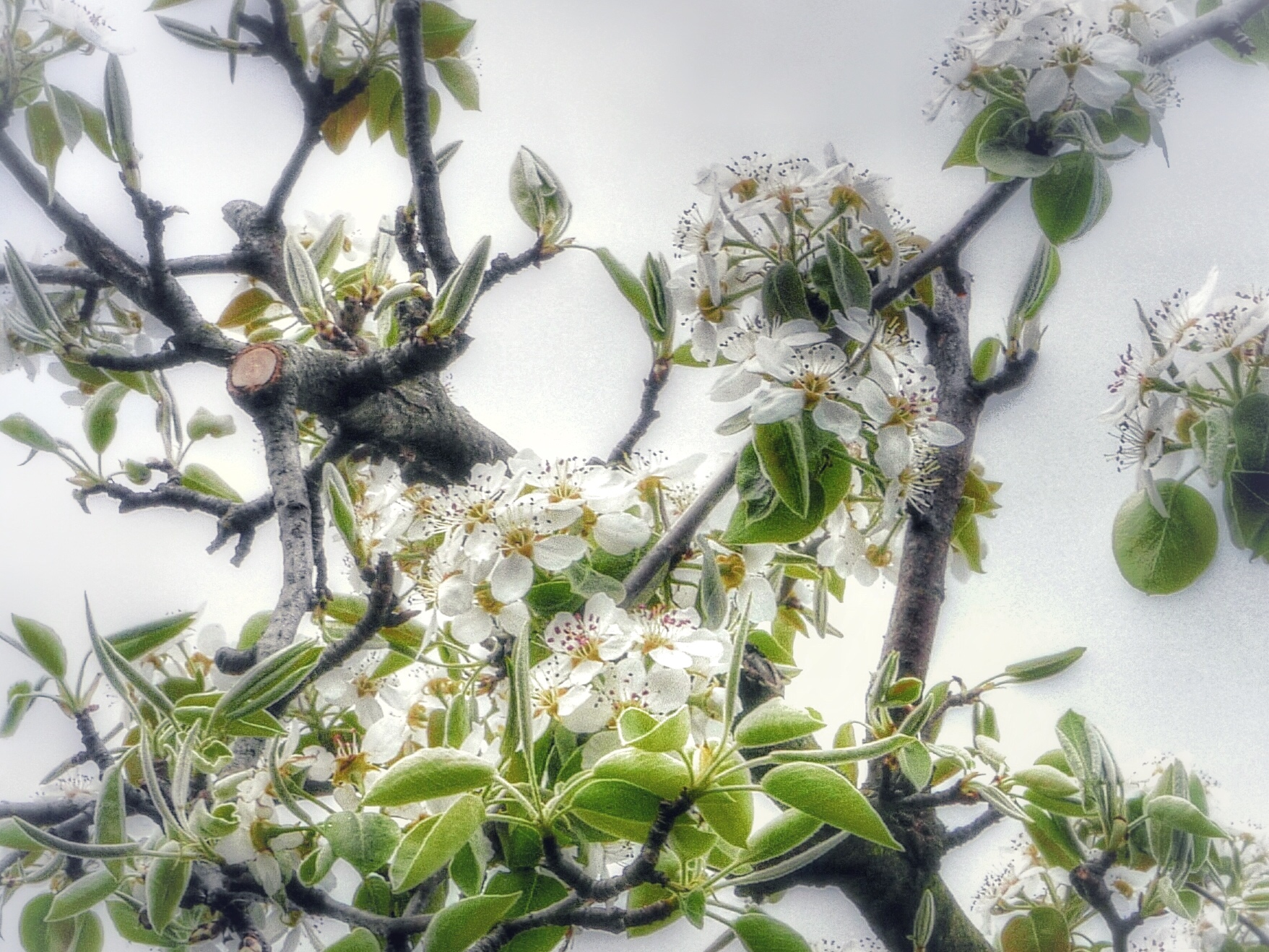 Frühling 😊