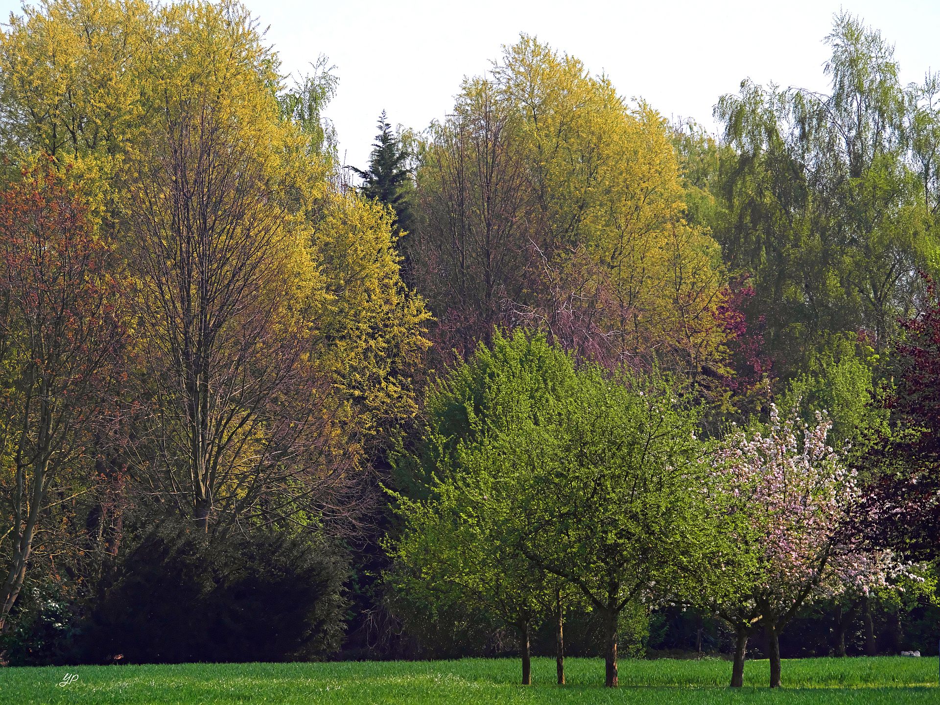 Frühlingsbunt