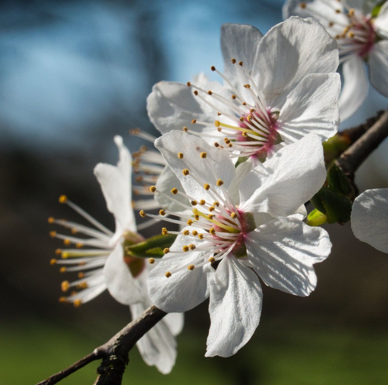 Frühlingsfarben