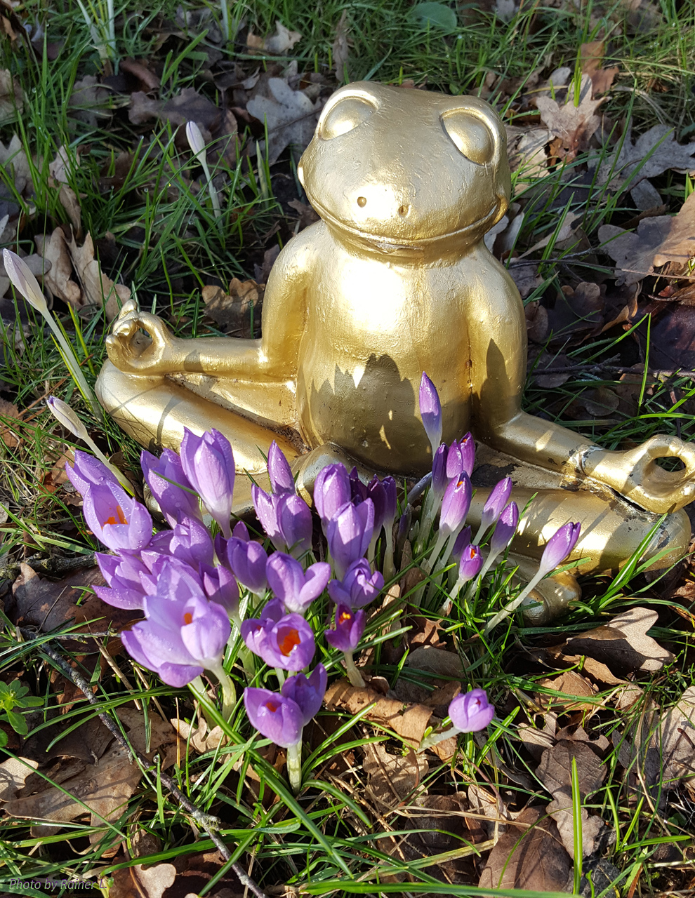 Frühlingsmeditation
