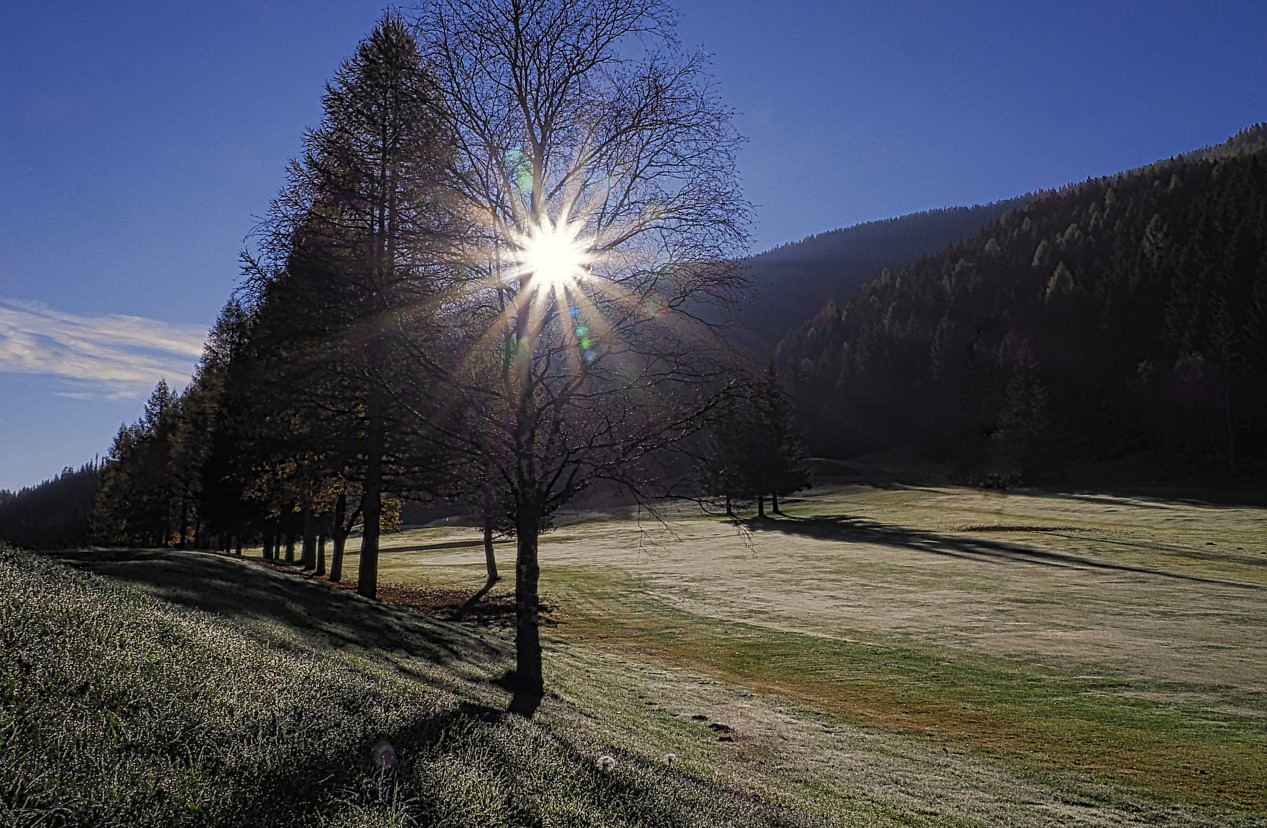 Frühmorgen