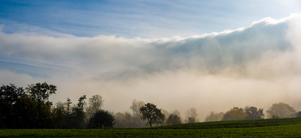 Frühnebel