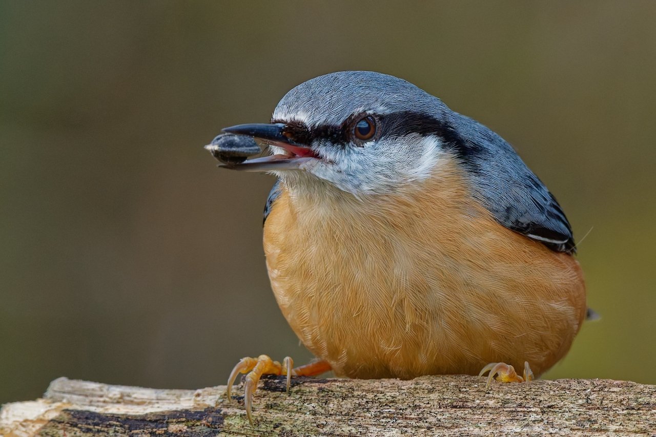 Frühstück heute Morgen.