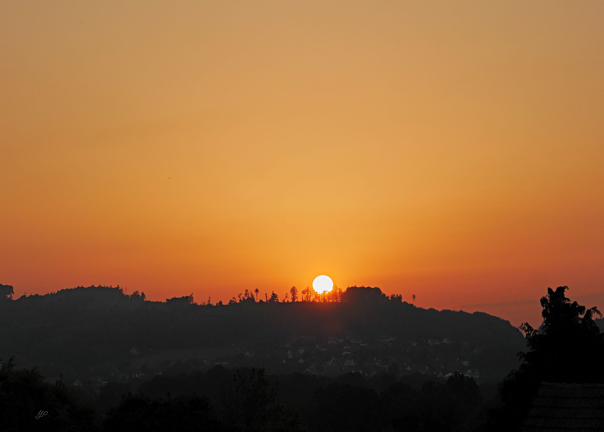 Ganz golden