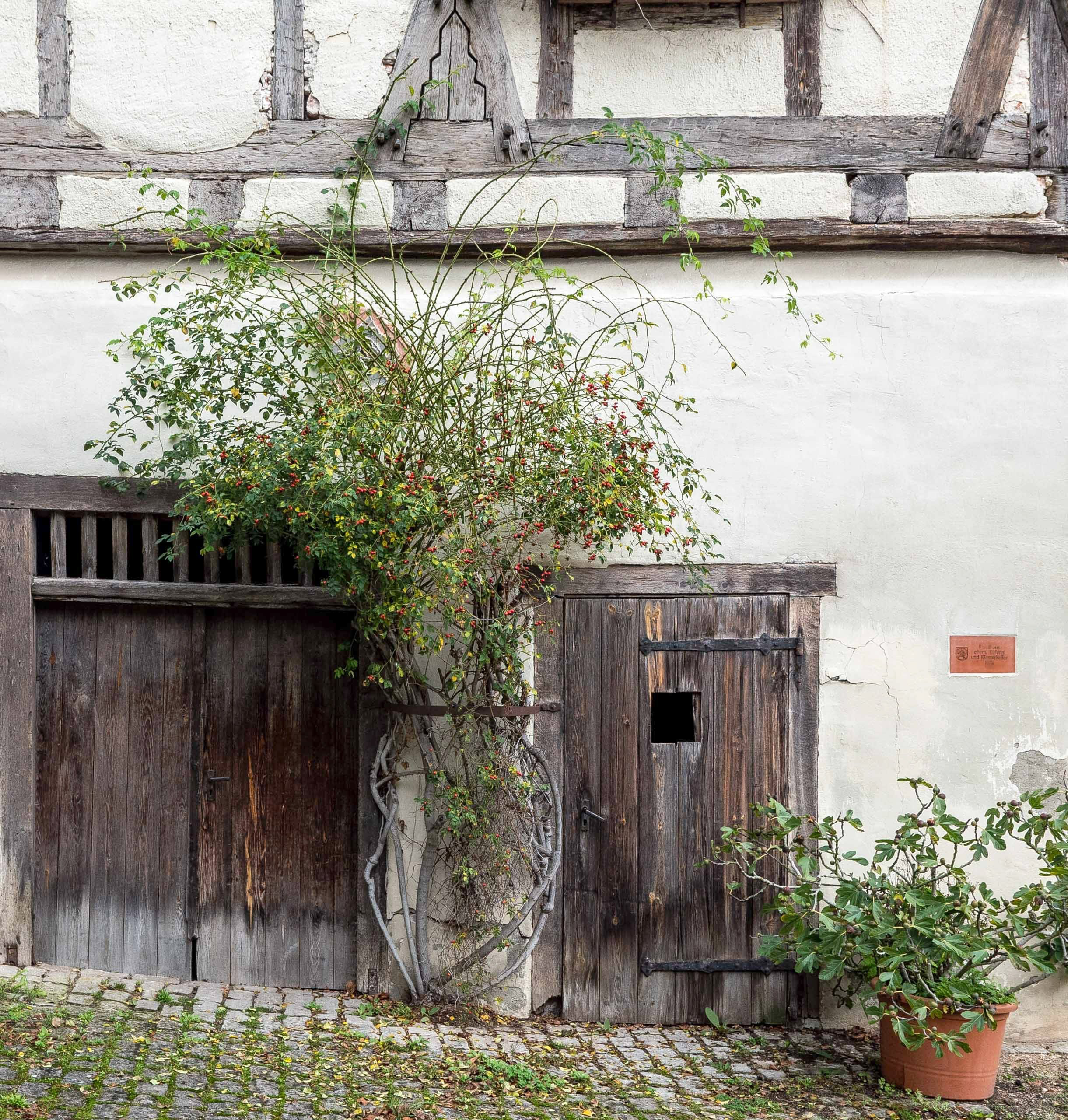 Gefälle