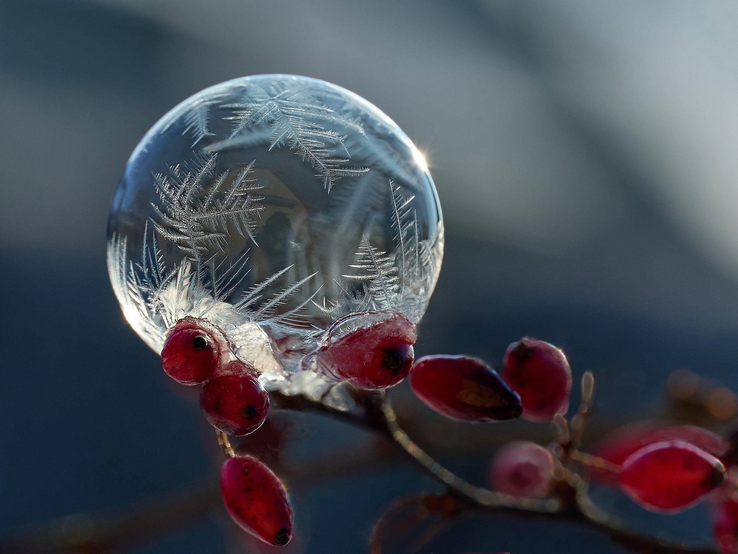 gefrorene Seifenblase