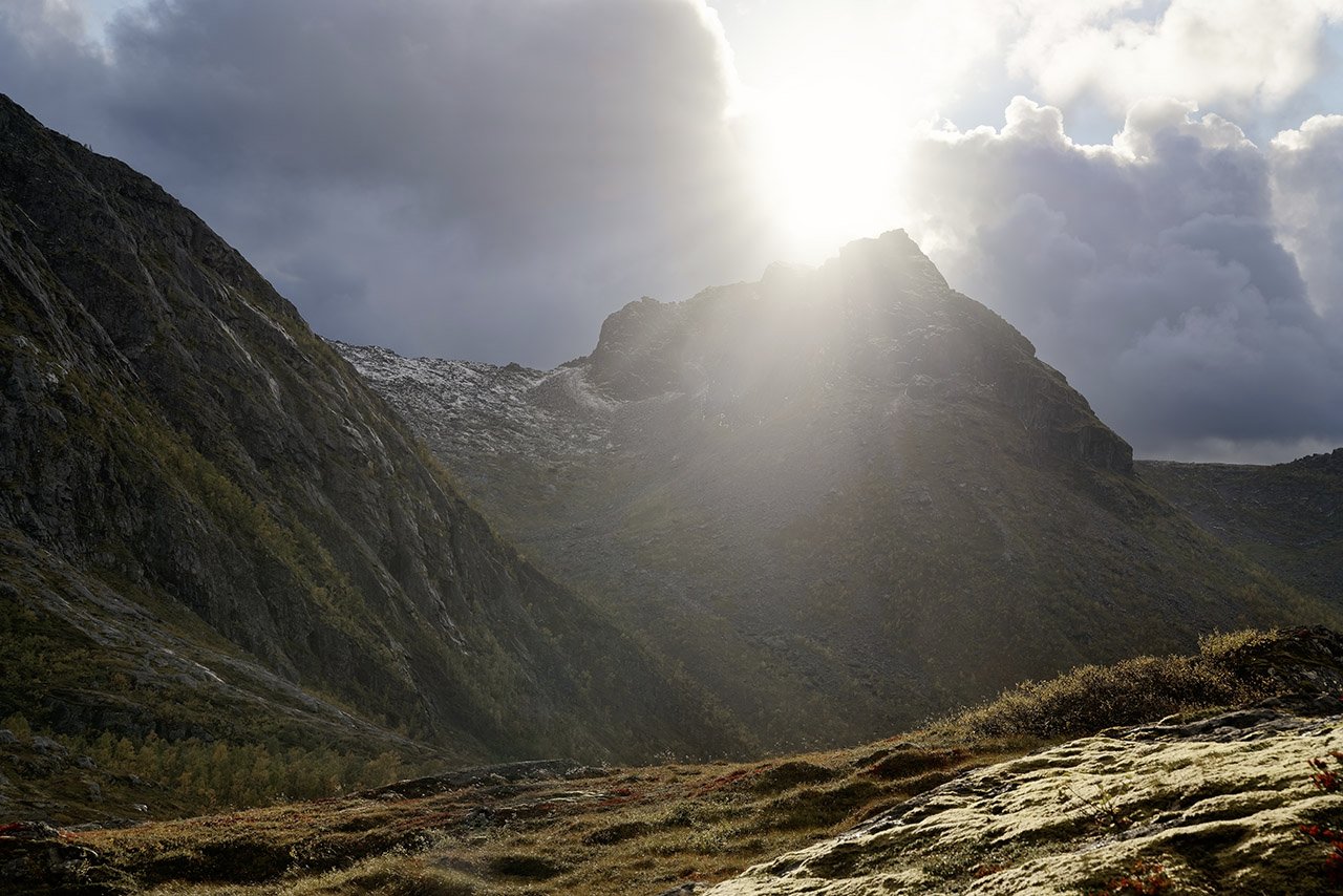 Gegen(d)licht