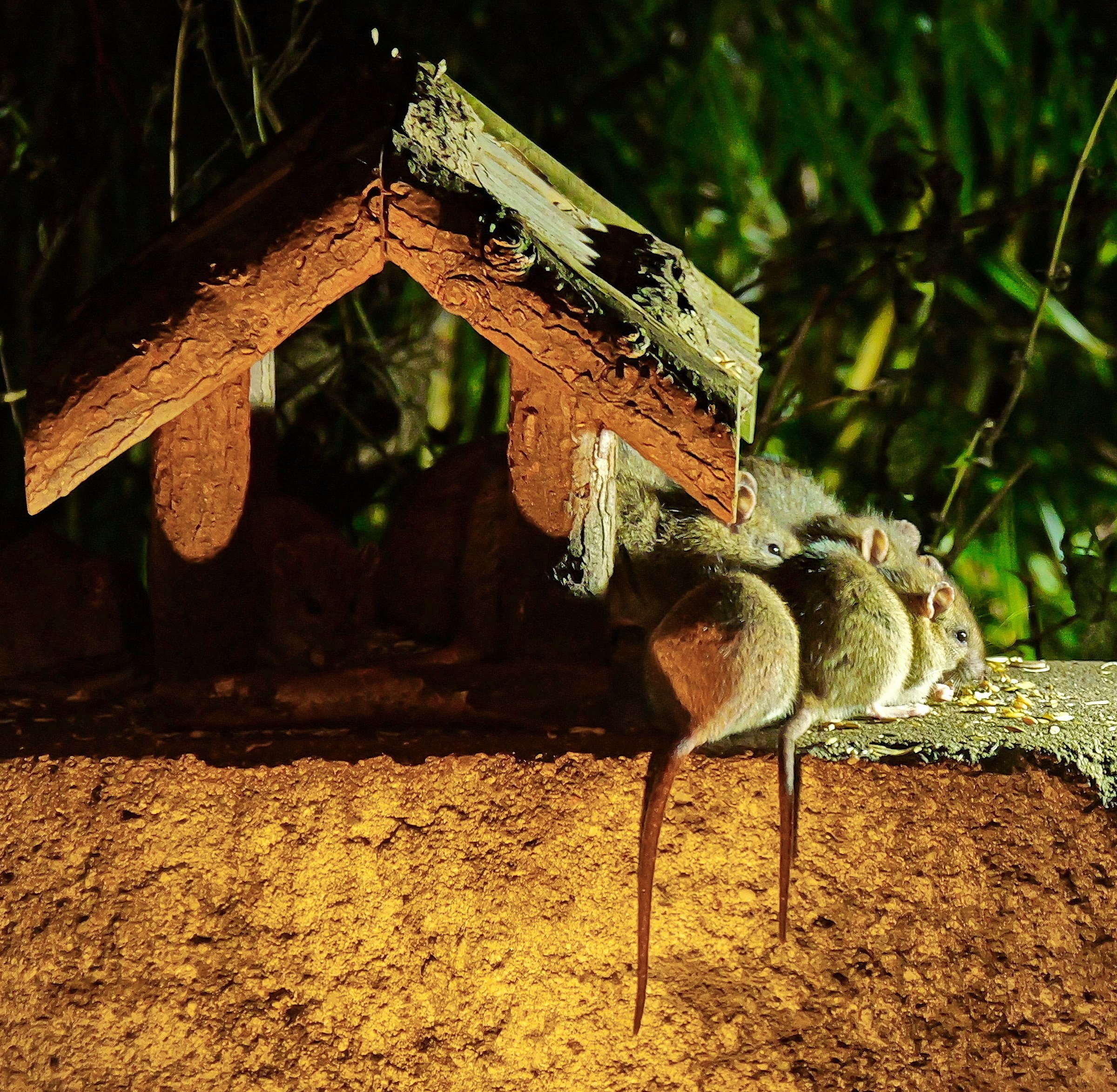 Gemütliches gemeinsames Abhängen.