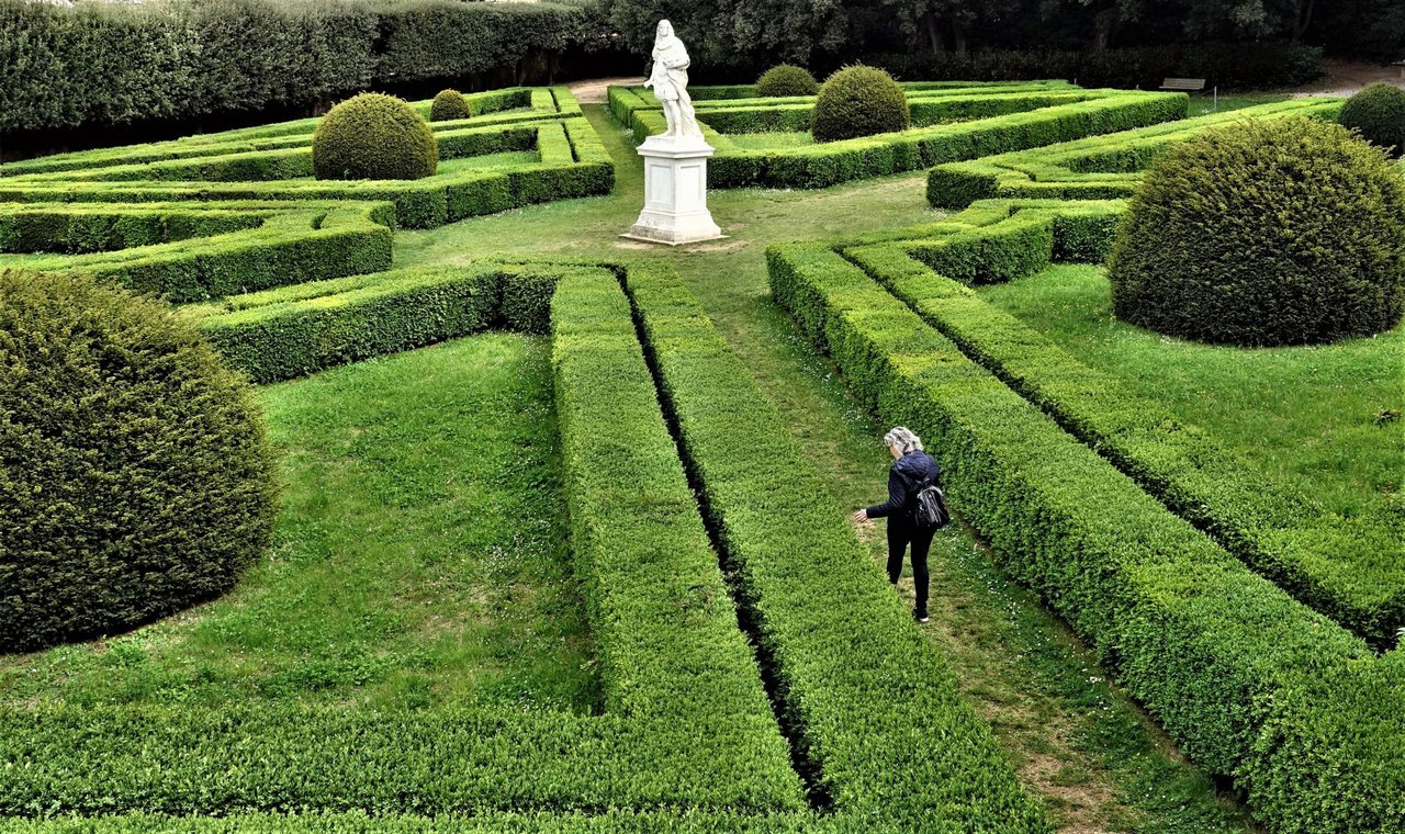 Gepflegter grüner Ziergarten.JPG